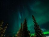 Herfstverlichting: warme tinten en energiebesparende oplossingen