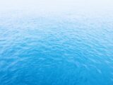 Dolfijn schilderijen combineren met oceaanblauwe accenten voor rustgevende interieurs