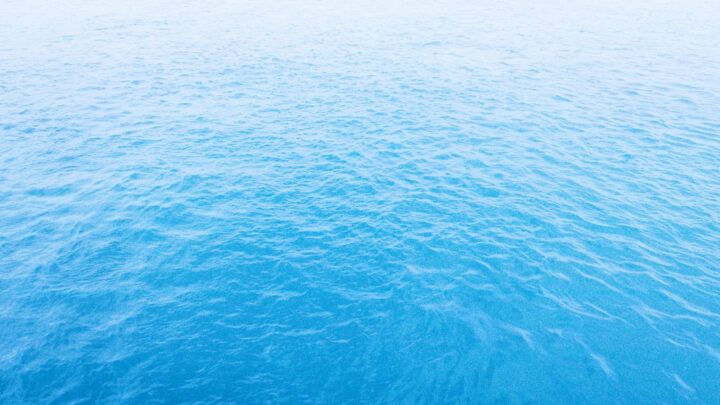 Dolfijn schilderijen combineren met oceaanblauwe accenten voor rustgevende interieurs