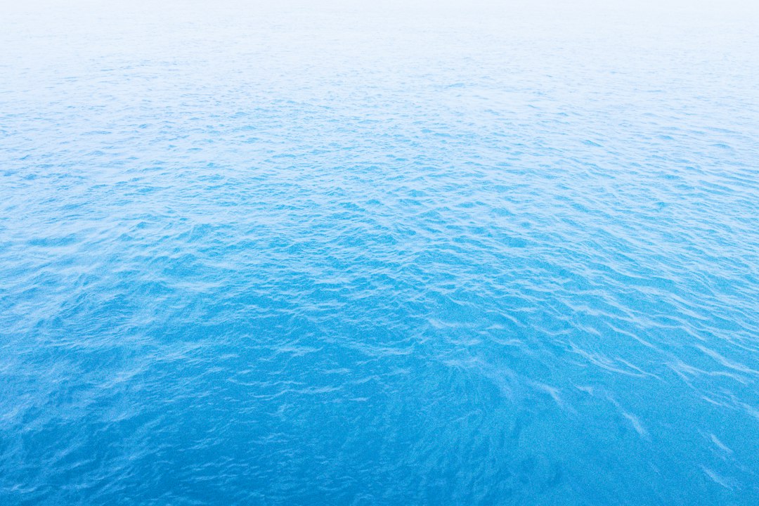 Dolfijn schilderij met oceaanblauwe tinten in woonkamer. Dolfijn schilderij met oceaanblauwe tinten in woonkamer.