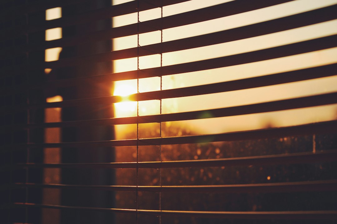 Groene eco-vriendelijke rolgordijnen in zonnige kamer.