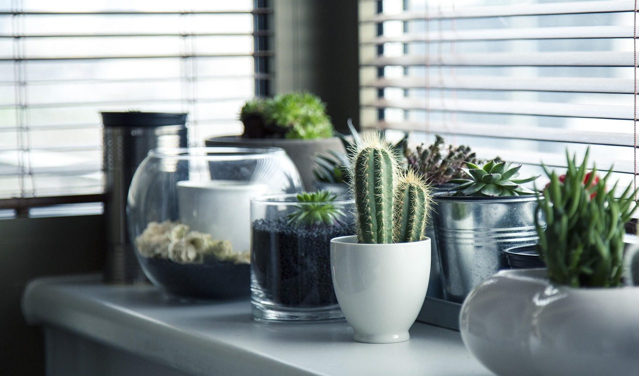 Compacte zamioculcas in sfeervol hoekje.