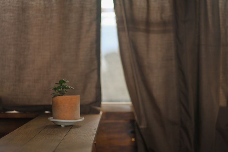 Herfstharmonie in woonkamer met exotische planten.